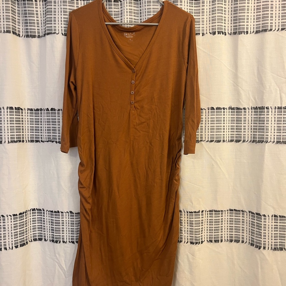 Isabel Maternity by Ingrid & Isabel Rust Dress
